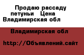 Продаю рассаду петуньи › Цена ­ 50 - Владимирская обл.  »    . Владимирская обл.